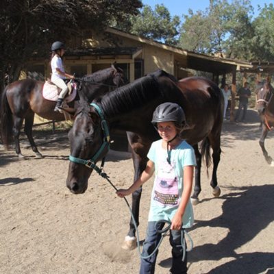Child guiding a horse.